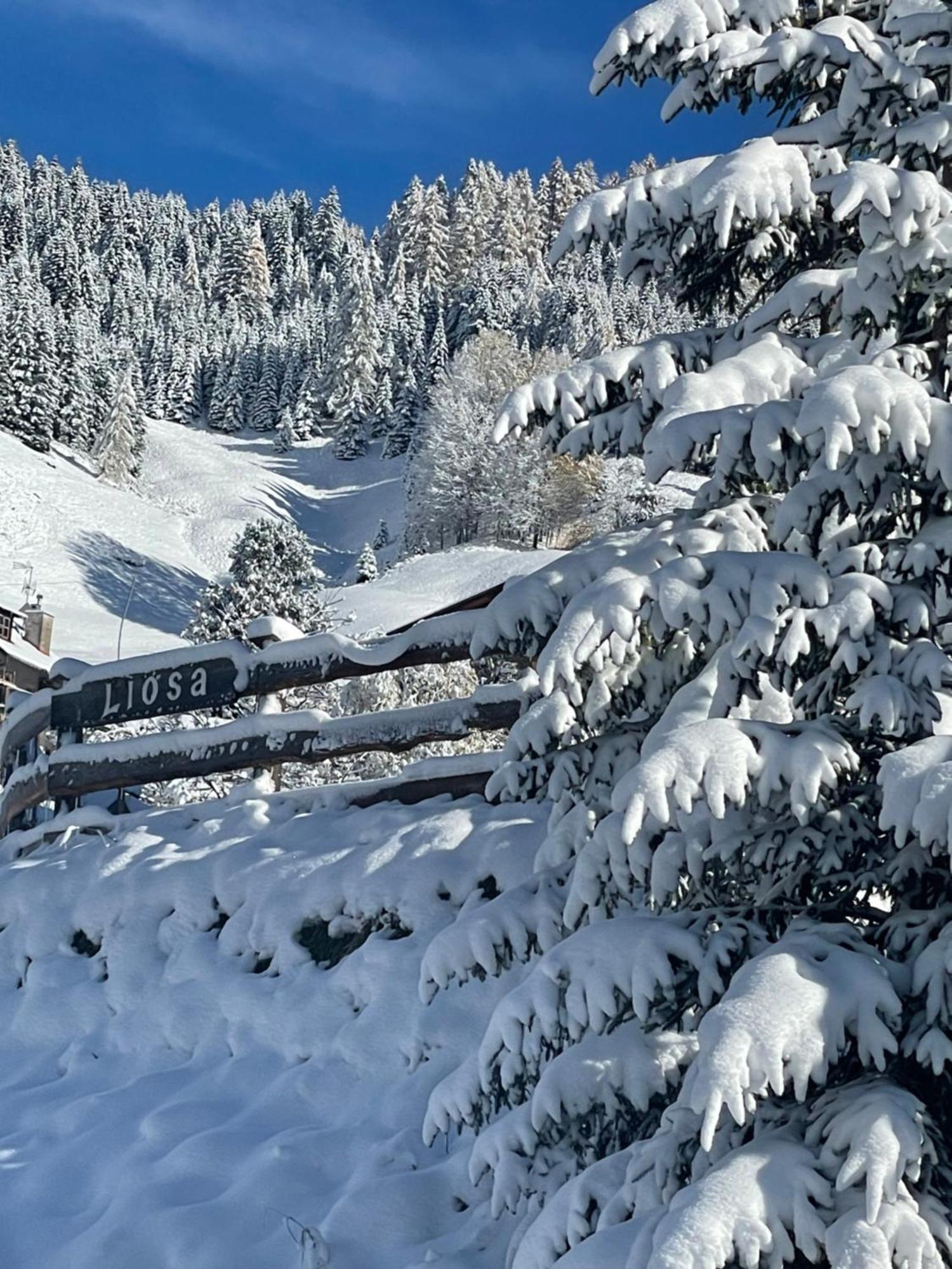 Luxury Chalet Liosa - Ski In Ski Out - Amazing View Corvara In Badia Exterior foto